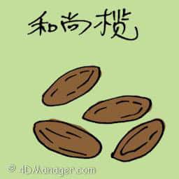 和尚榄 monk fruit