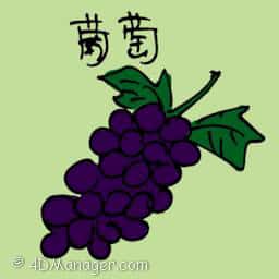 葡萄 grapes