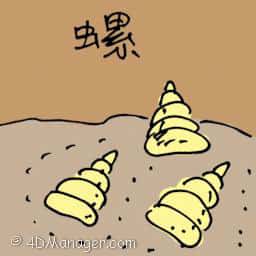 螺 spiral shell