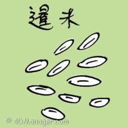 暹米 thai rice