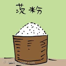 茨粉 flour