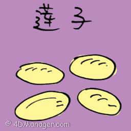 莲子 lotus seed