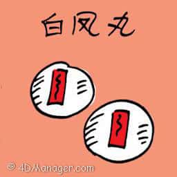 白凤丸 chinese bai fong pills