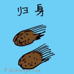 归身,当归 chinese angelica root