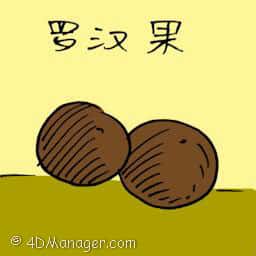 罗汉果 monk fruit