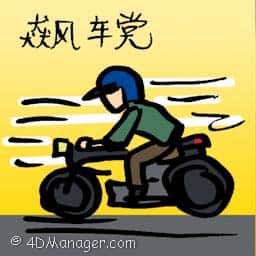 飘车党 motorcycle gangs