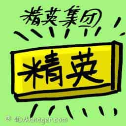 精英集团 the elite group