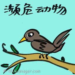 濒危动物 endangered animals