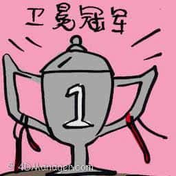 卫冕冠军 defending champion