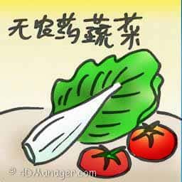 无农药蔬菜 chemical-free vegetables