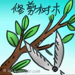 修剪树木 pruning tree