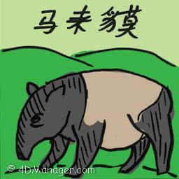 马来貘 malayan tapir