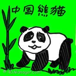 中国熊猫 pandas from china