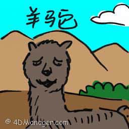羊鸵 alpaca