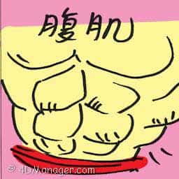 腹肌 abdominals