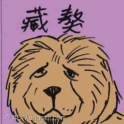 藏獒 tibetan mastiff