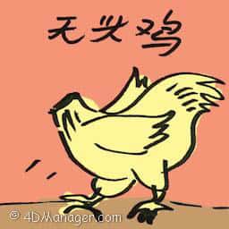 无头鸡 mike the headless chicken