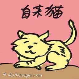 自来猫 unsolicited cat