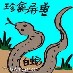 珍禽异兽 exotic animal