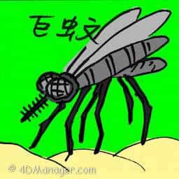 巨蚊 giant mosquito