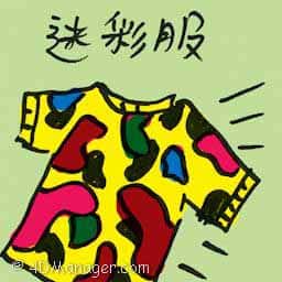 迷彩服 camouflage