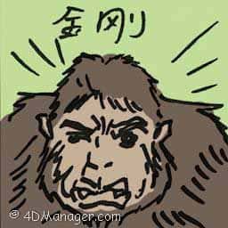 金刚 king kong