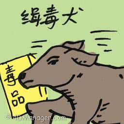 缉毒犬 narcotics dog