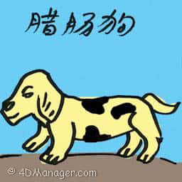 腊肠狗 dachshund