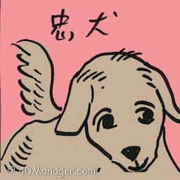忠犬 faithful dog