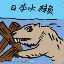 日本水獺 japanese otter