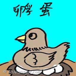 孵蛋 incubate