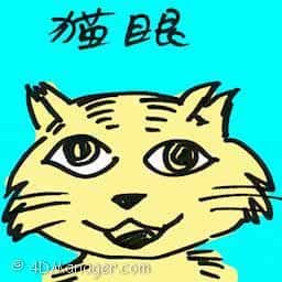 猫眼 cat's eye