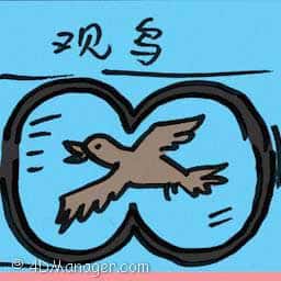 观鸟 bird watching
