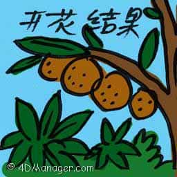 开花结果 fruition