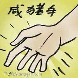 咸猪手 groper