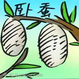 卧蚕 lying silkworm
