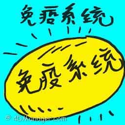 免疫系统 immune system