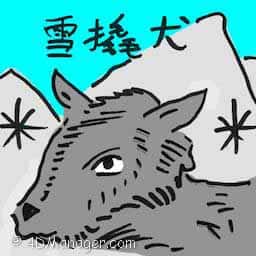 雪橇犬 malamute