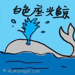 白色座头鲸 white humpback whale