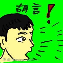 胡言 fudge