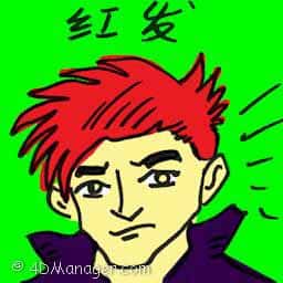 红发 red hair