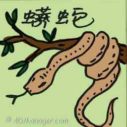 蟒蛇 python