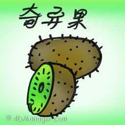 奇异果 kiwi