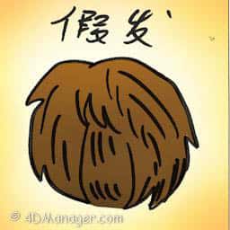 假发 wig