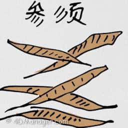 参须 ginseng tails