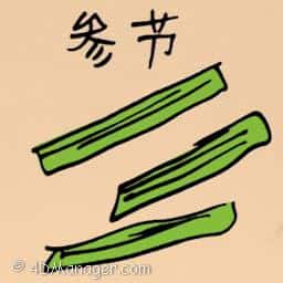 参节 ginseng strips