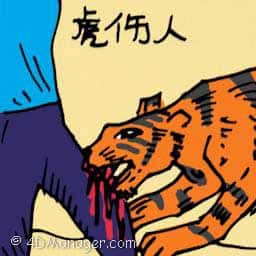 虎伤人 attacked by tiger