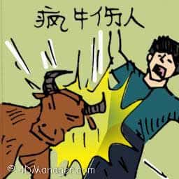 疯牛伤人 attacked by mad cow