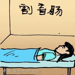 割盲肠 appendicitis