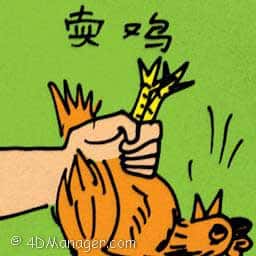 卖鸡 selling chicken